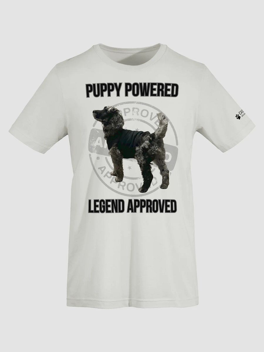LEGEND APPROVED T-Shirt product image (15)