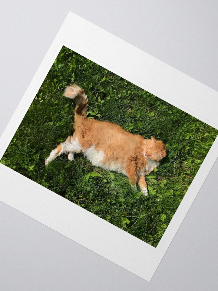Sun Bathing Boy Sticker product image (2)