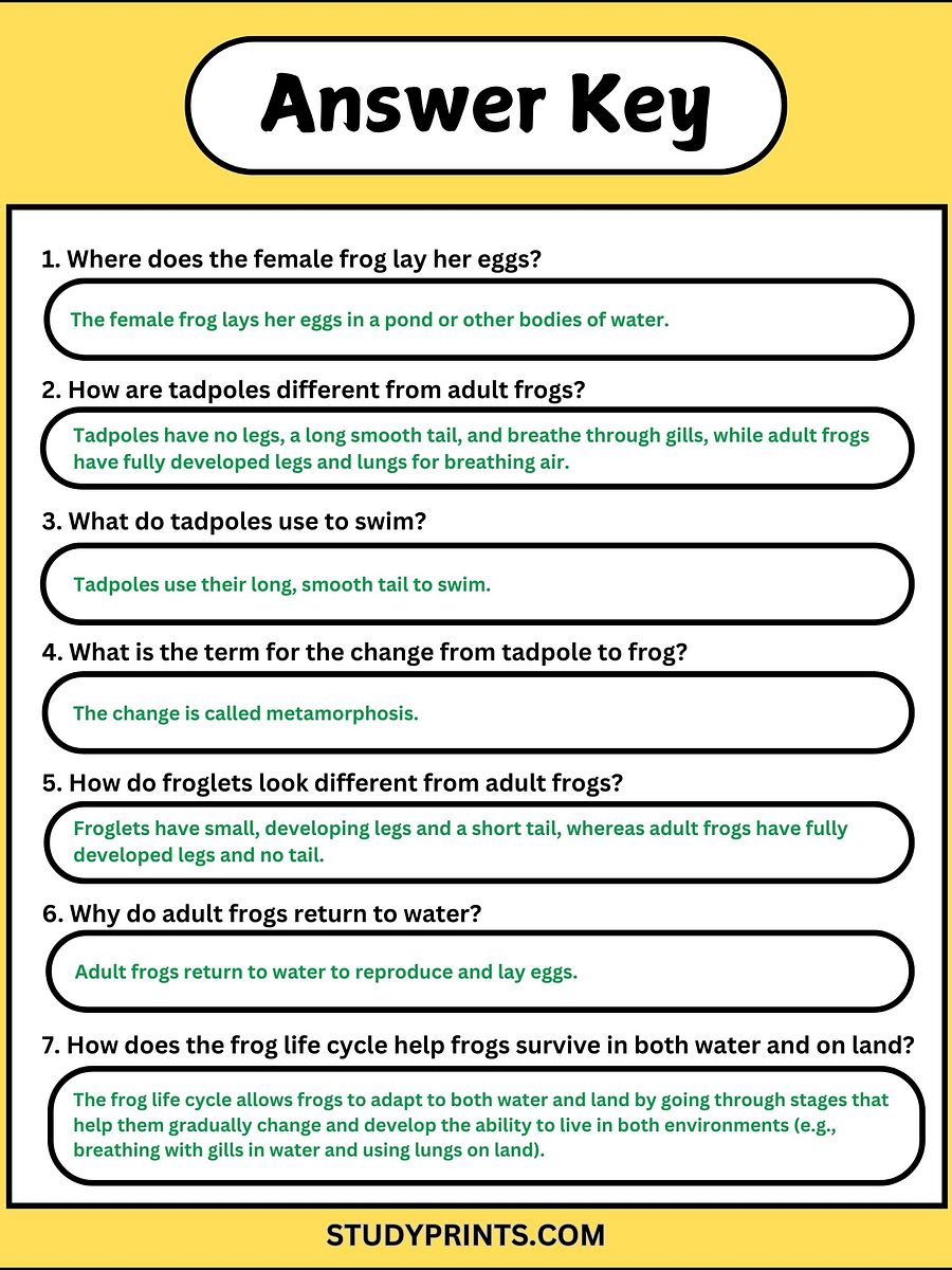 Frog Life Cycle Reading Comprehension Worksheet product image (4)