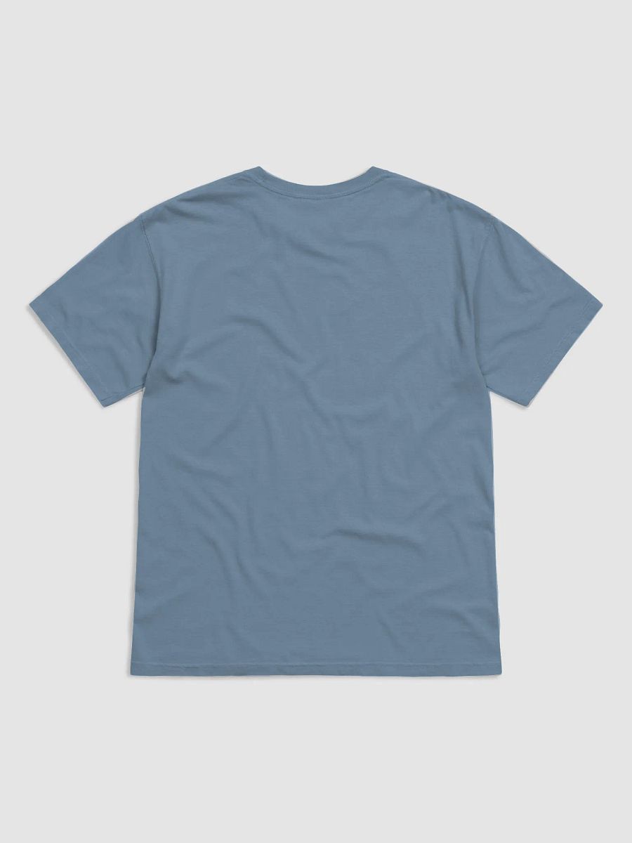 Reading Whatever I Wanted, Whenever I Wanted was a Right – T-shirt product image (2)