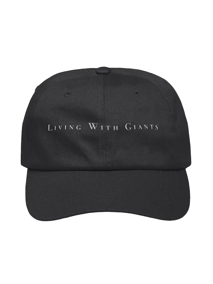 Classic Comfort Dad Hat product image (1)