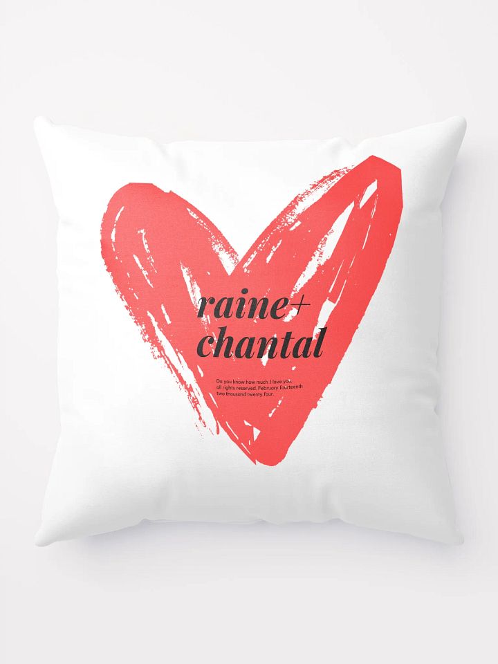 VDAY RAINE + CHANTAL SQUARE PILLOW product image (1)