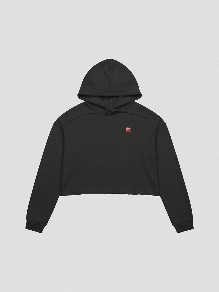 Crop Top Hoodie product image (3)