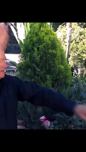 Steven Seagal teaching Lyoto Machida a little bullshido…

#MMA #UFC #StevenSeagal #Bullshido #aikido