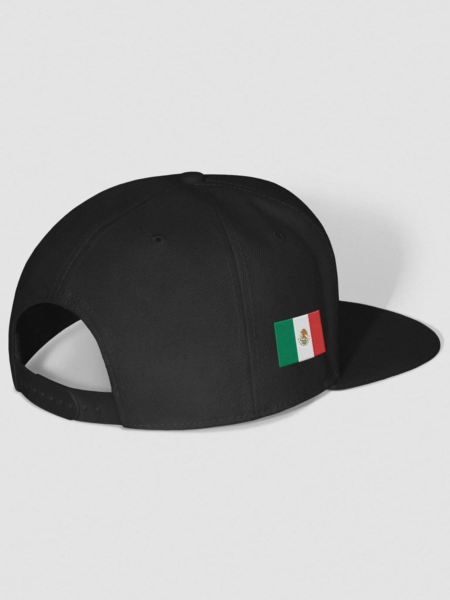 Tejas Block Snapback Hat product image (3)