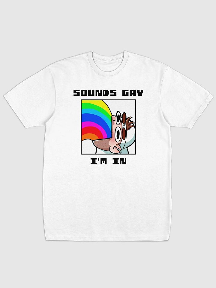 Sounds Gay I'm In Premium Heavyweight Tee product image (1)