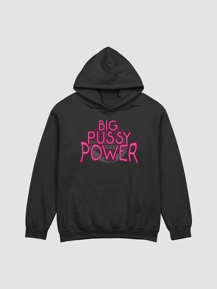BPP Hoodie product image (1)
