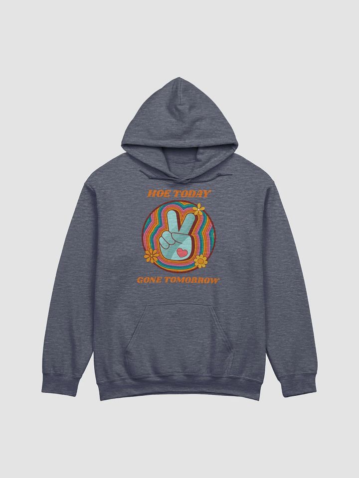 Hoe Today Hoodie product image (2)