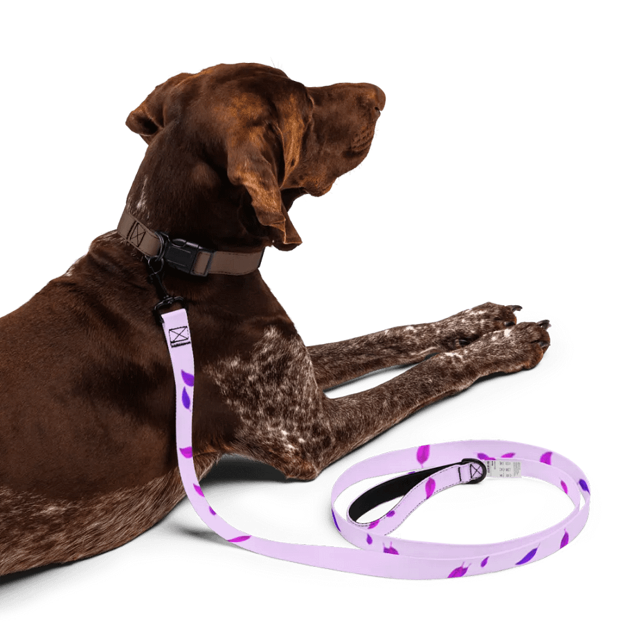 Petals In The Wind Pet Leach product image (5)