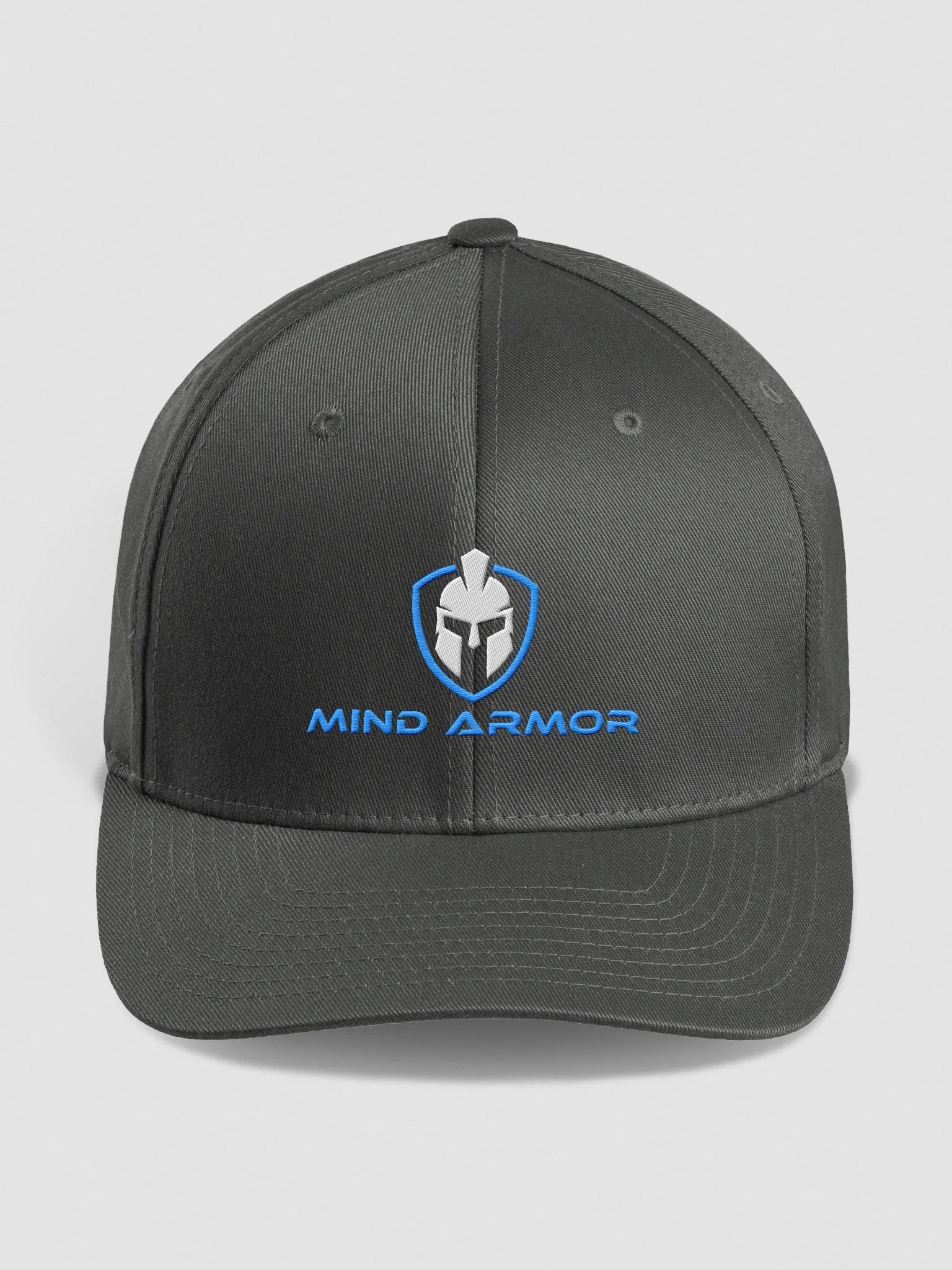 Mind Armor Hat - Fitted product image (8)