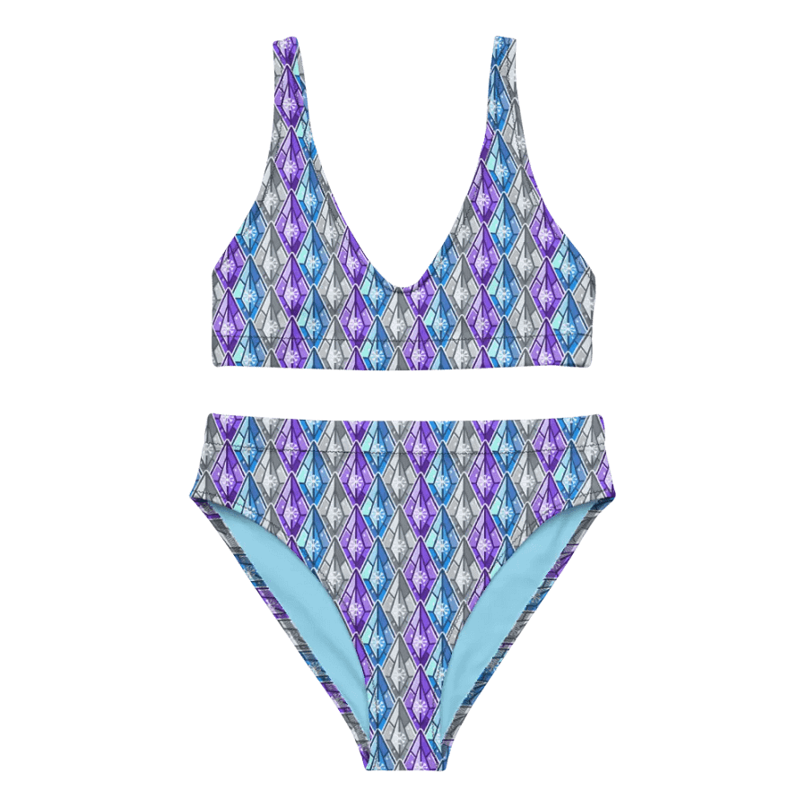 Snowshard Bikini product image (4)