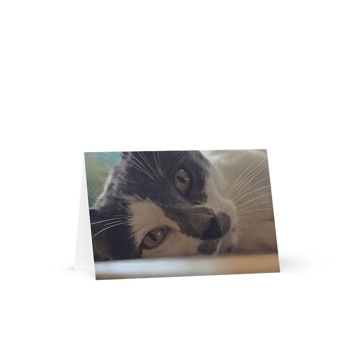 Paislie Feline Gaze Greeting Card product image (1)