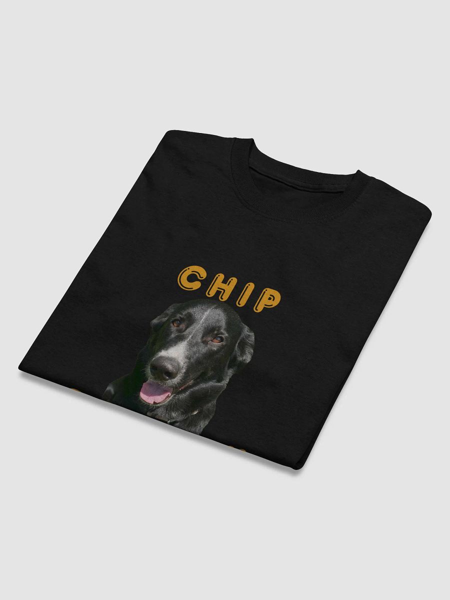 Chip Security - womans product image (14)