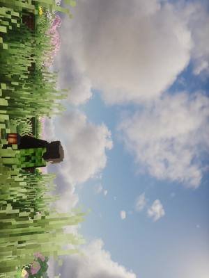 inspired by a post from @photono_gen119  #minecraft #minecraftedit
