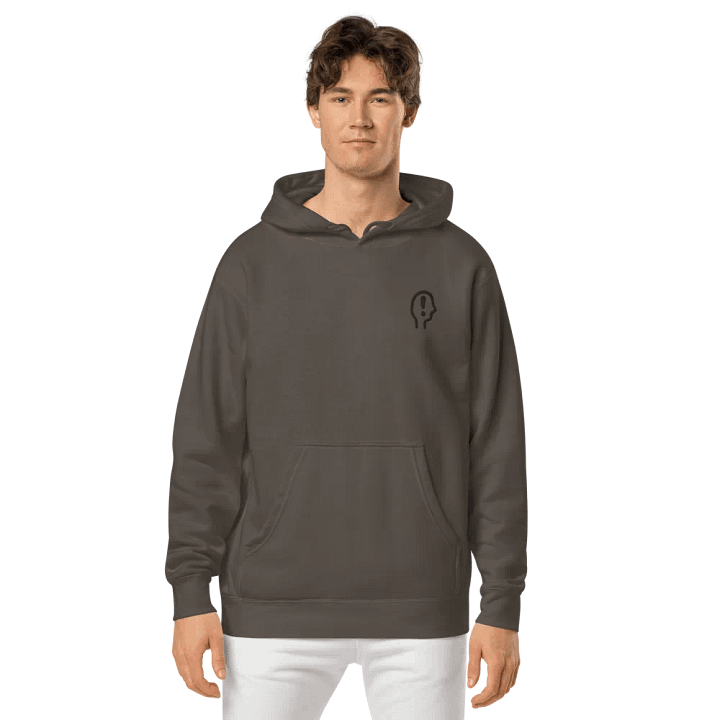 EXCLAIMING MENTALLY (black) embroidered pigment hoodie product image (2)