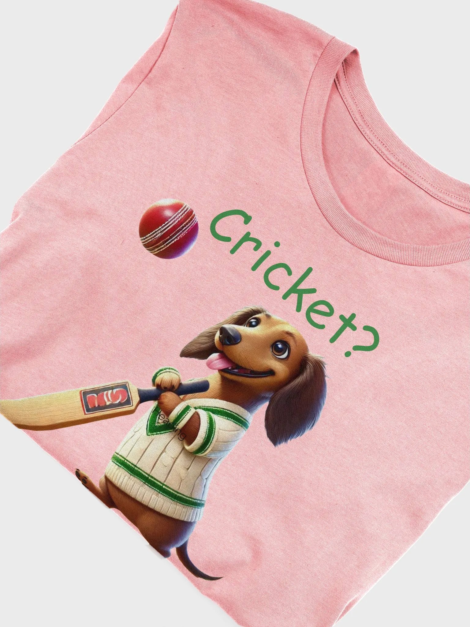 Cricket? I Thought You Said Biscuit! product image (10)