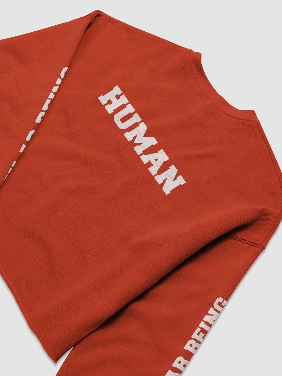 (2 sided) Ordinary Human crop sweatshirt product image (9)