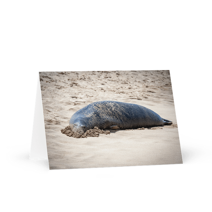 Sandy Seal Greeting product image (1)