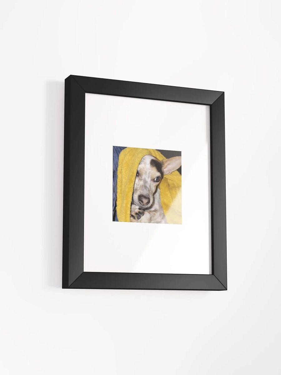 Bronx the Adorable product image (4)