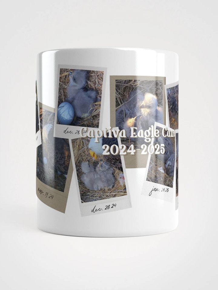 Journey | White Mug | Captiva Eagle Cam 2024-2025 product image (1)