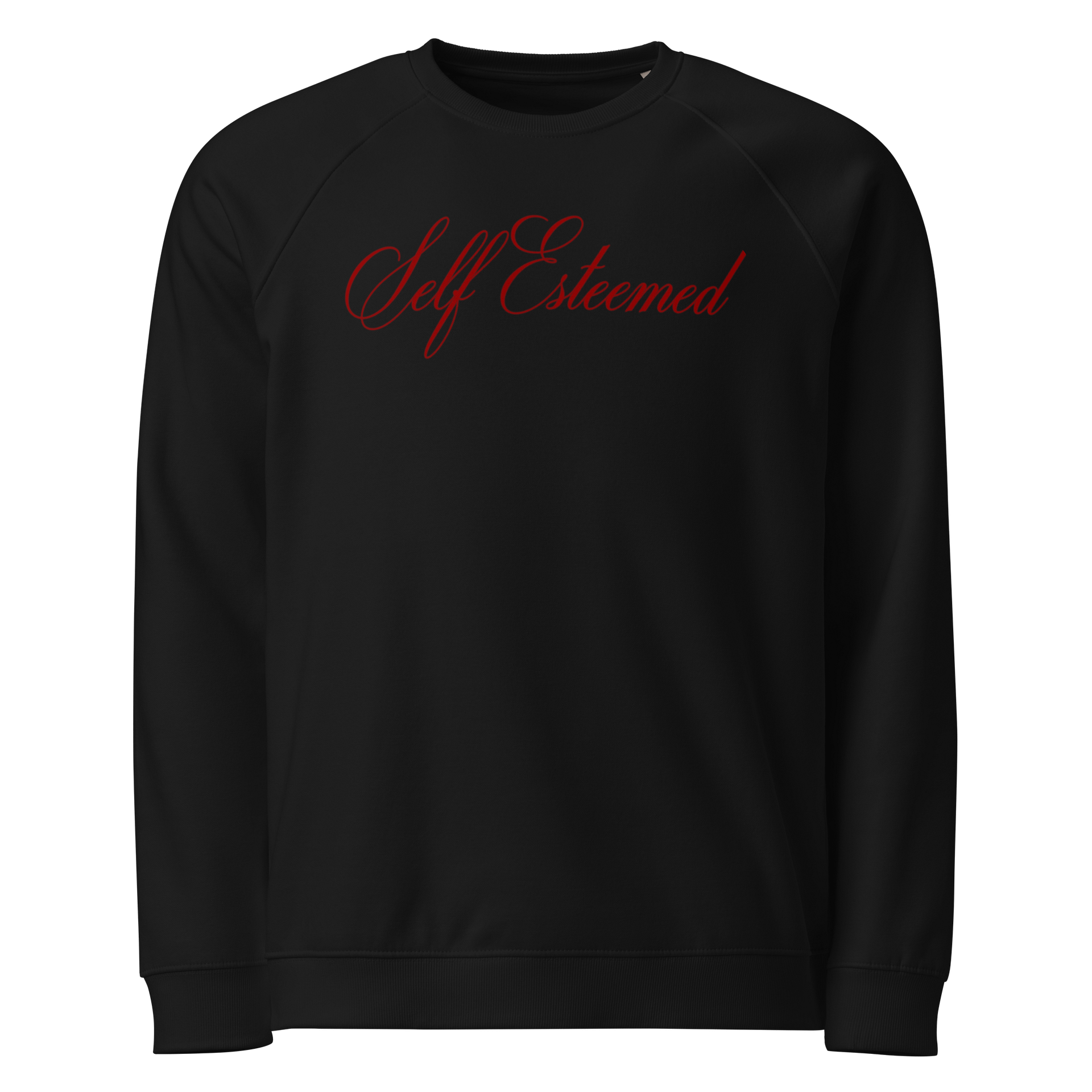 Self Esteemed sweatshirt product image (3)