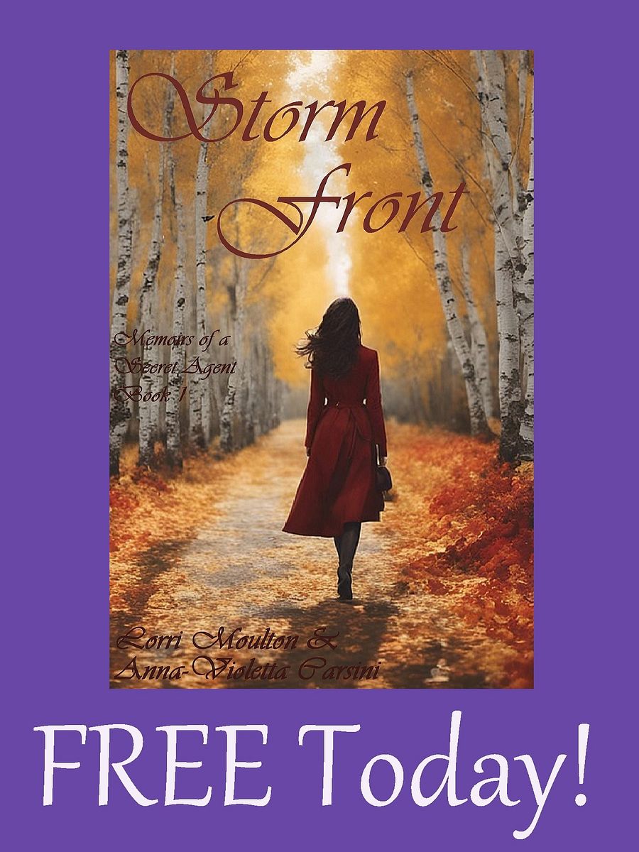 Storm Front EBOOK - FREE TODAY! product image (1)