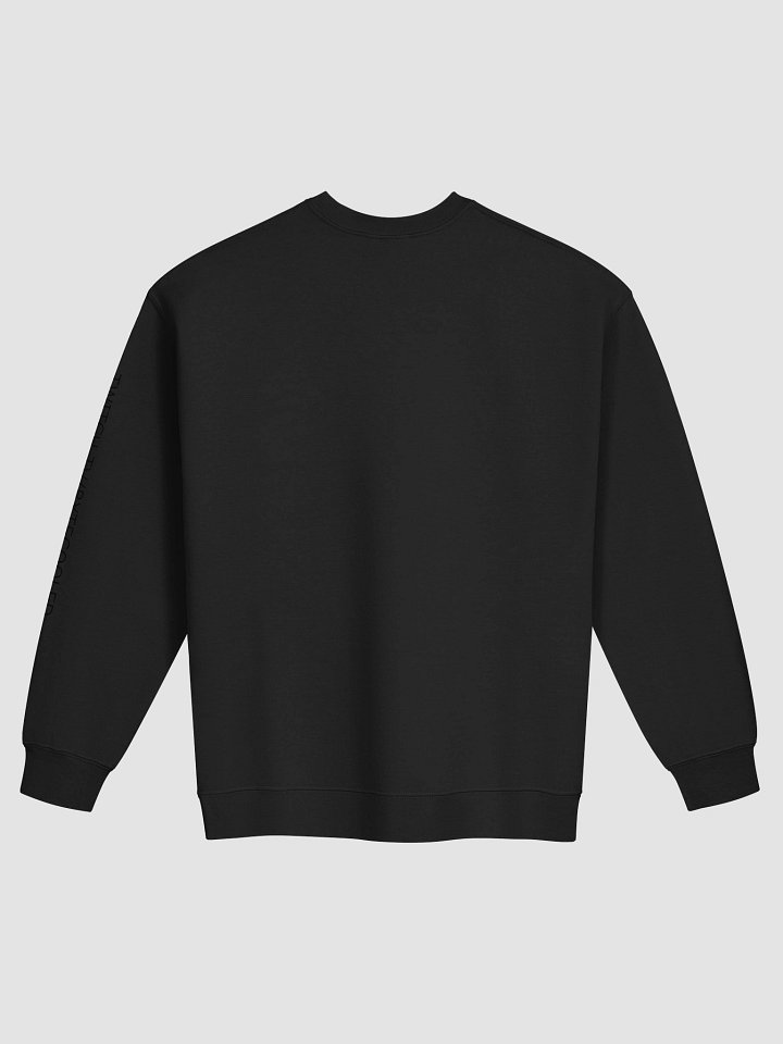 Hydrate Raccoon Crewneck product image (2)