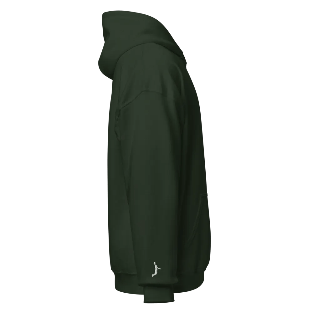 JBL3 Louisville Colonels Hoodie product image (4)