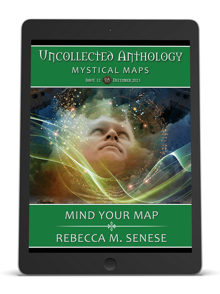 Mind Your Map product image (1)