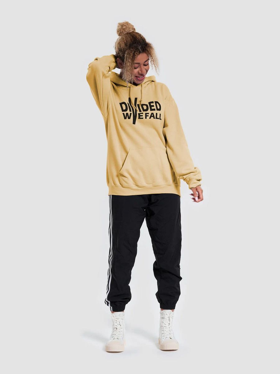 Divided We Fall - Black - Gildan Classic Hoodie product image (4)