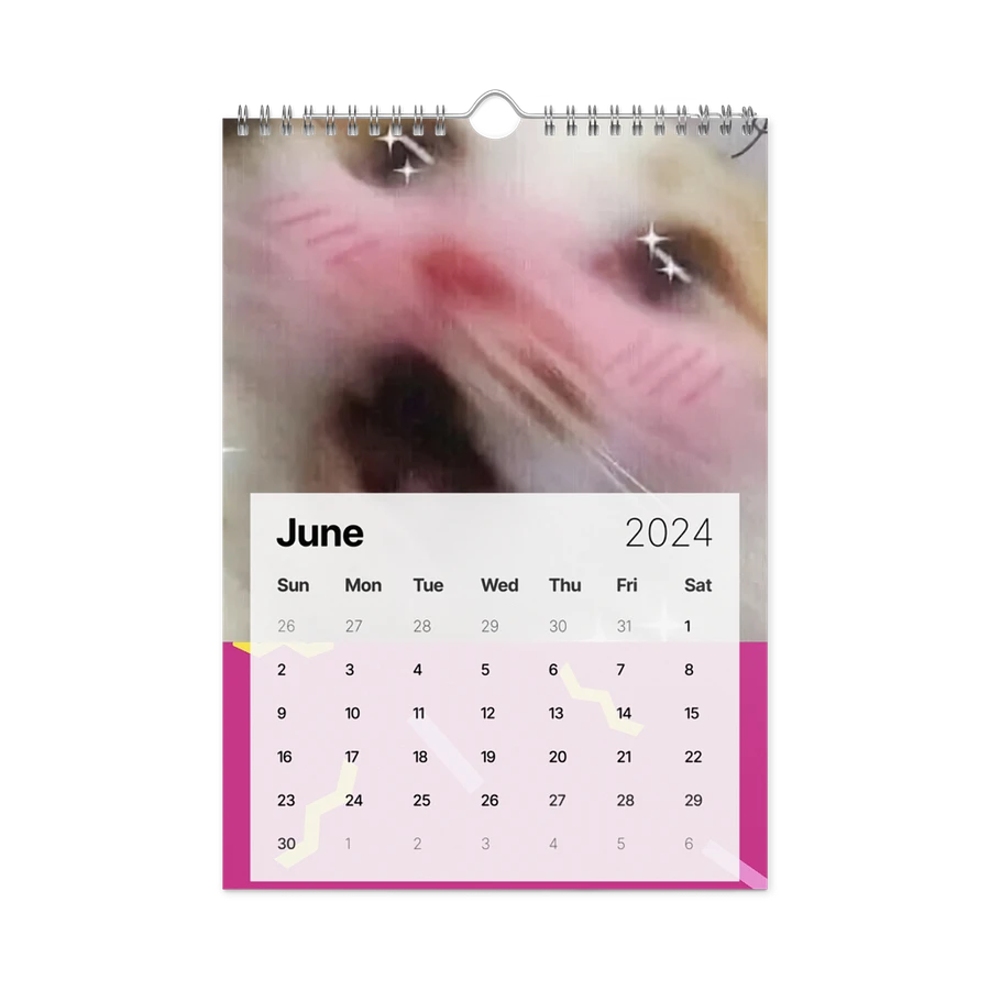 Wall Calendar (2024): Meme Cats product image (12)