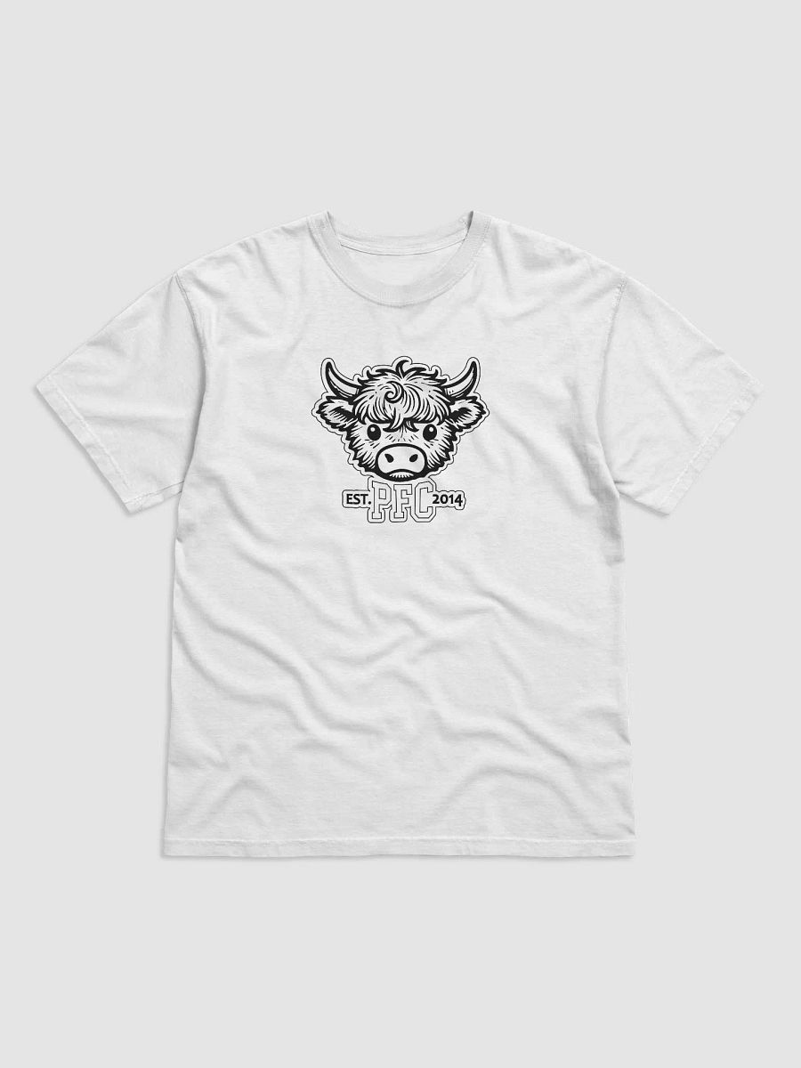 You Color: Mini Highland Comfort Tee product image (2)