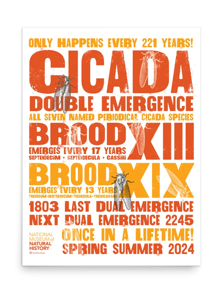 Cicada Double Emergence Poster product image (2)