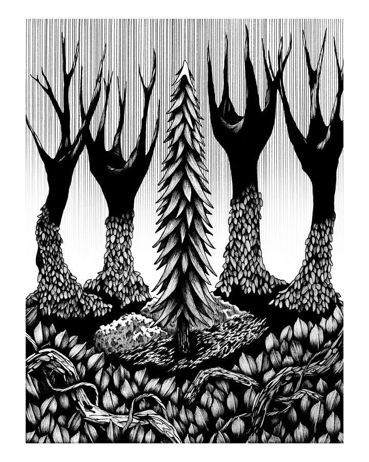 Evergreen - Art Print product image (6)
