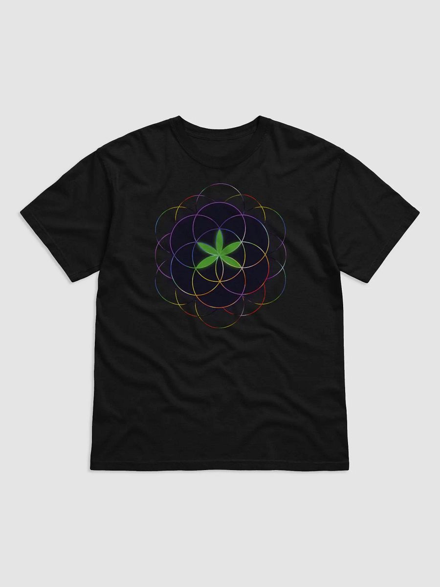 Stoned Chakra New Logo T-Shirt product image (1)
