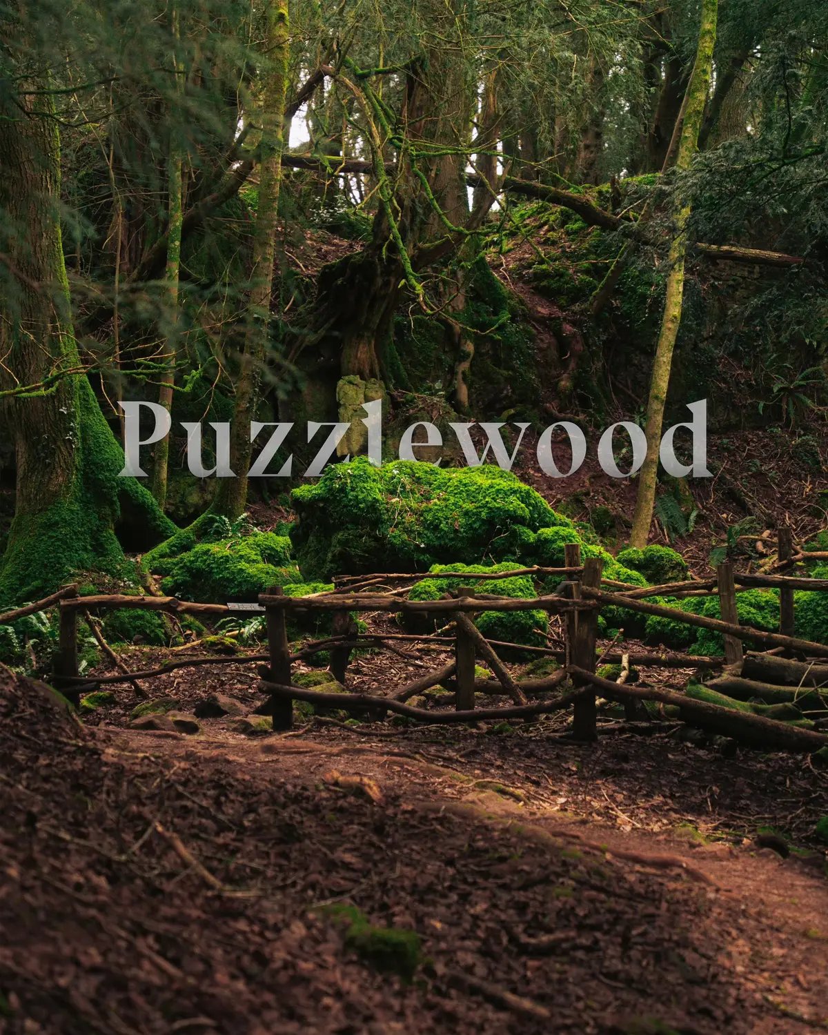 There’s something otherworldly about wandering through Puzzlewood… Nestled in the Forest of Dean, this place feels like it’s straight out of a fantasy novel, with ancient trees, twisting roots, and a lush green carpet of moss that almost glows. It’s not just visually stunning, there’s a magic here that’s hard to explain, but easy to feel. Maybe that’s why Star Wars and Harry Potter both brought their stories to life in these woods. Walking these paths, I couldn’t help but wonder what it is about certain places that make them feel so alive. Maybe it’s their history, or maybe it’s just the quiet whispers of nature that seem to echo all around you. Whatever it is, Puzzlewood is one of those rare spots where reality fades, and you’re left feeling like you’ve stepped into a scene from another world… and maybe, just maybe, you’ll stumble upon something unexpected. 📷 Captured on @Sony Alpha 7ii & Tamron 28-200mm #puzzlewood #photography #sonyalpha #a7ii #nature #landscapes 