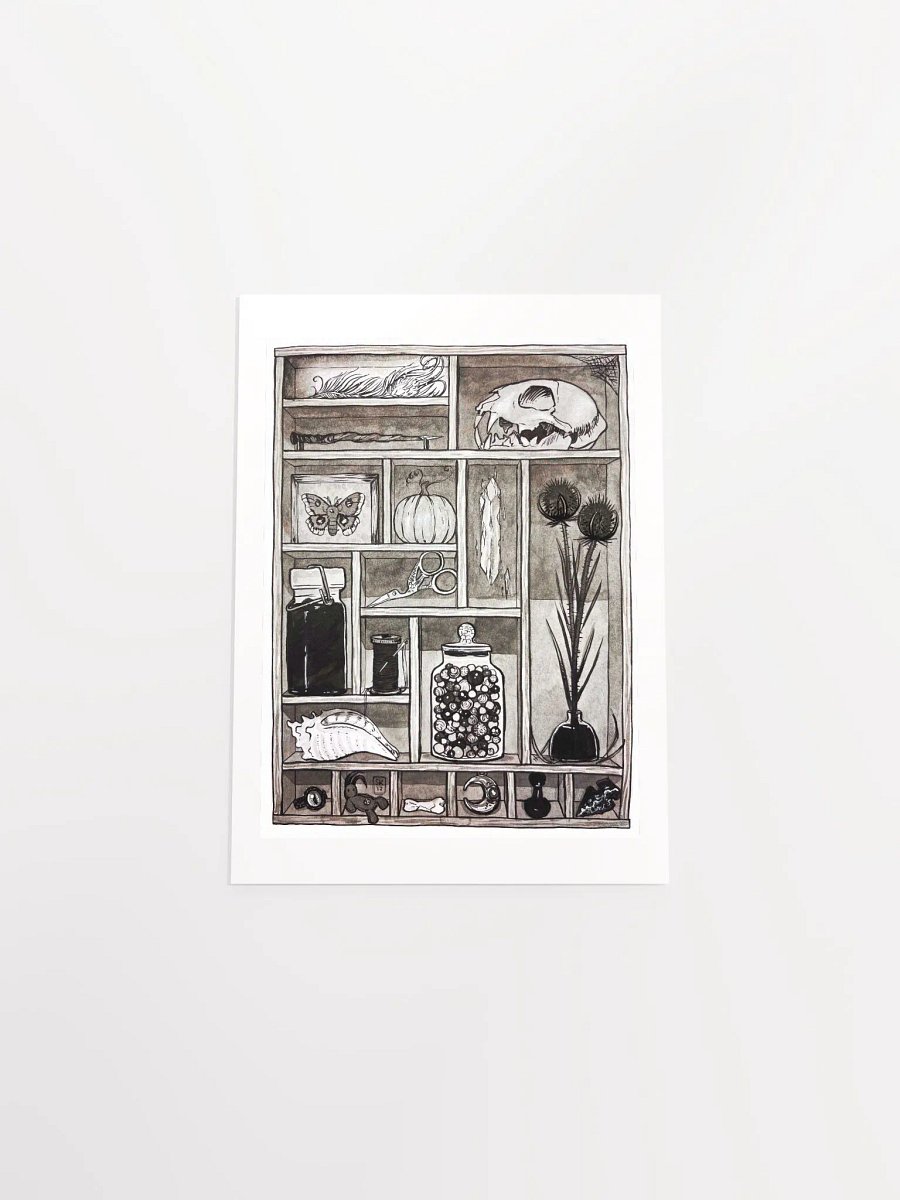 Cabinet of Curiosities Art Print product image (8)