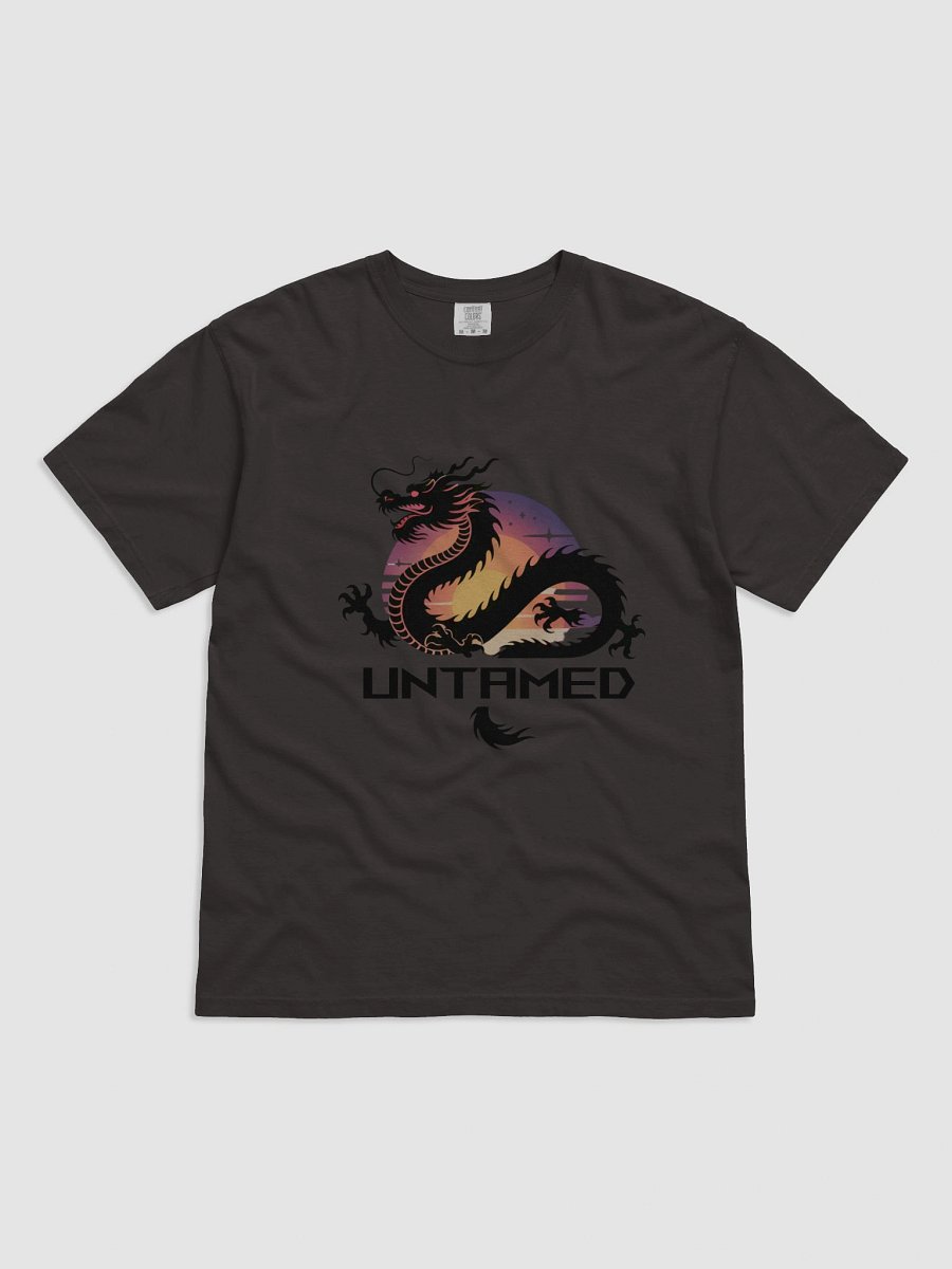 Dragon Sunset Silhouette T-Shirt product image (4)