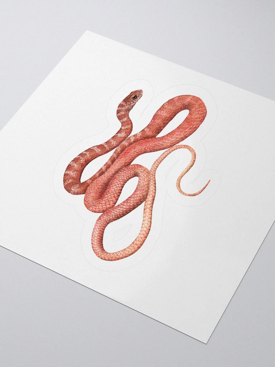 Die-Cut Sticker – Red Racer product image (3)