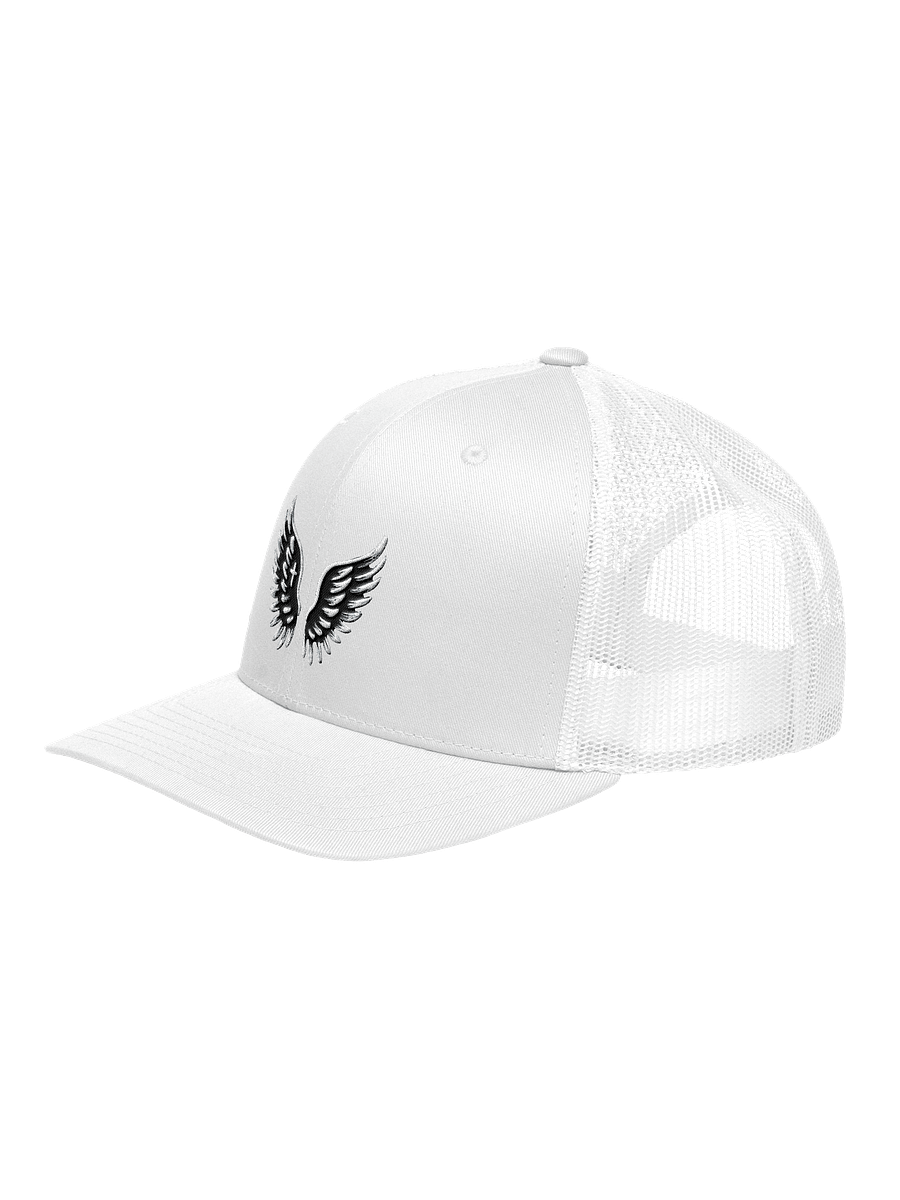 Wings of Faith Retro Hat product image (5)