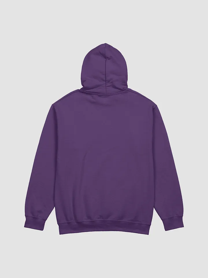 Fall Girly Hoodie product image (2)