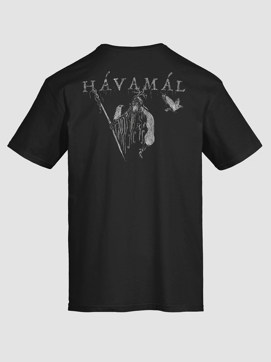 Tee shirt - Havamal in the back 2 product image (19)