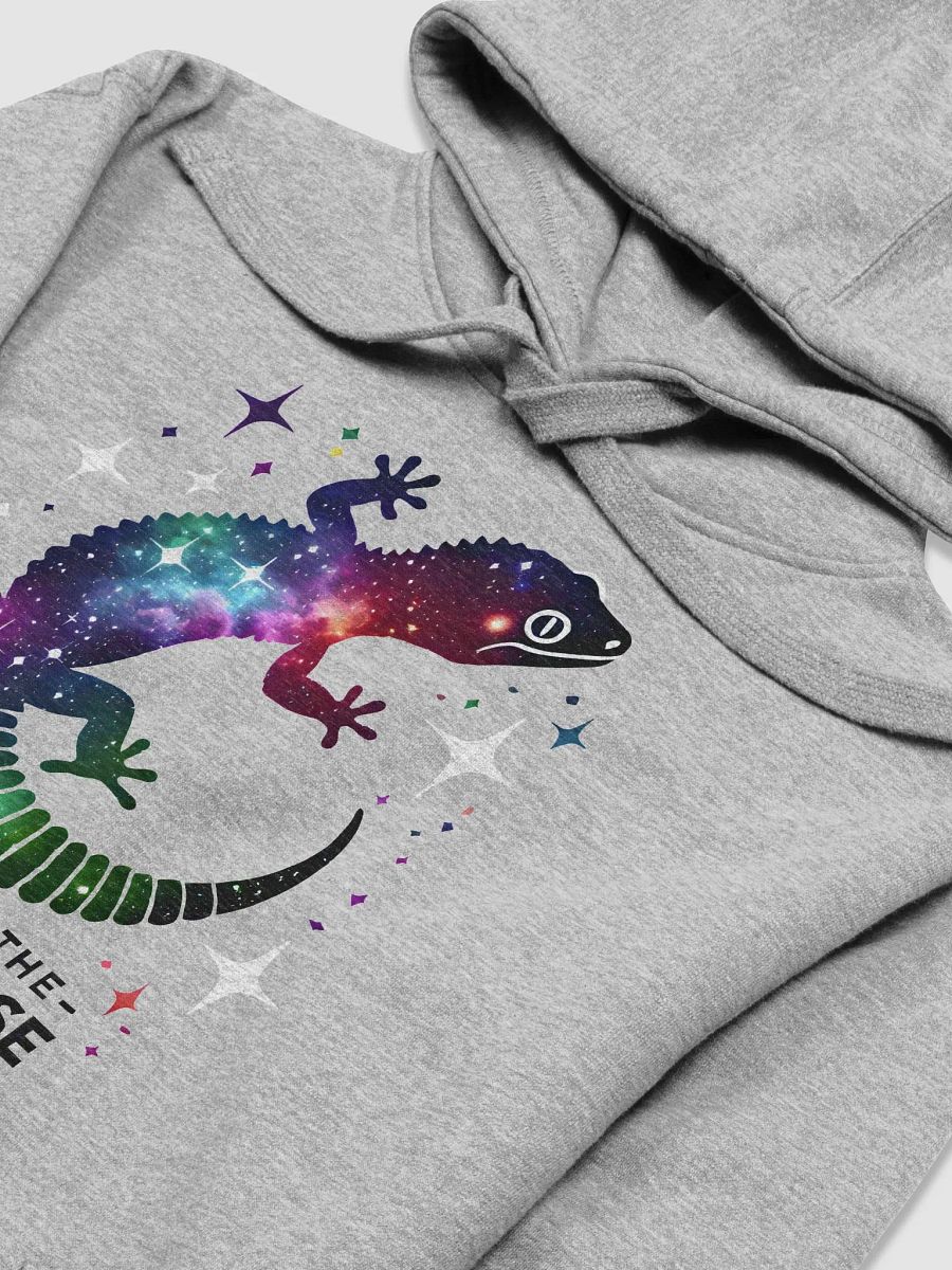 EXPLORING THE GECKO-VERSE Hoodie product image (23)