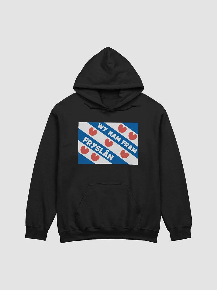 Wy Kam Fram Fryslân Flag - Hoodie (Black/Coloured) product image (37)
