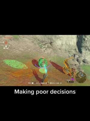 Mistakes were made. #zelda #totk #koroks 