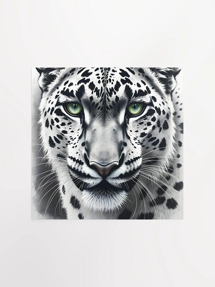 Snowleopard product image (2)