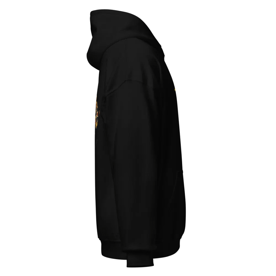Don't Fear Classic Hoodie product image (23)