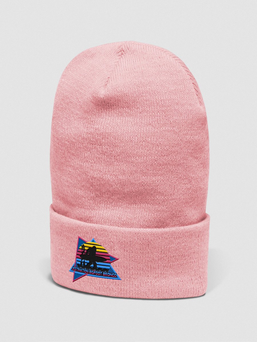 Retro-Inspired Pink Cuffed Beanie product image (2)