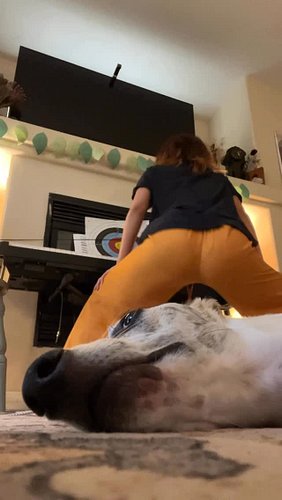 She couldn’t resist the gravitational pull of my cheeks and booty werk 🍑 

#funny #cringe #memes #pets #comedy #asian #dance ...