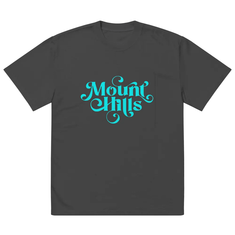 Mount Hills Oversized Faded T-Shirt product image (2)